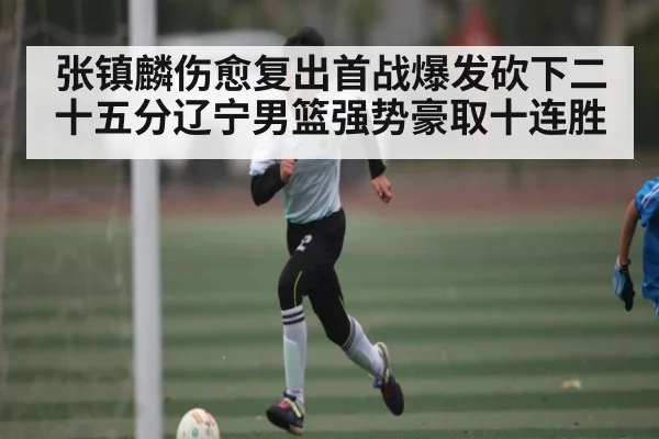 张镇麟伤愈复出首战爆发砍下二十五分辽宁男篮强势豪取十连胜 - kaiyun