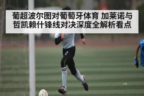 葡超波尔图对葡萄牙体育 加莱诺与哲凯赖什锋线对决深度全解析看点 - kaiyun